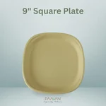 PAAVAN 9 Inch Square Plates for Serving Snacks | Birthday, Wedding & Party