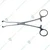 Babcock Forceps 6 Inch, High Precision, Non-Slip Grip, Medical Tool Ideal for Surgical, Veterinary, and Laboratory Use
