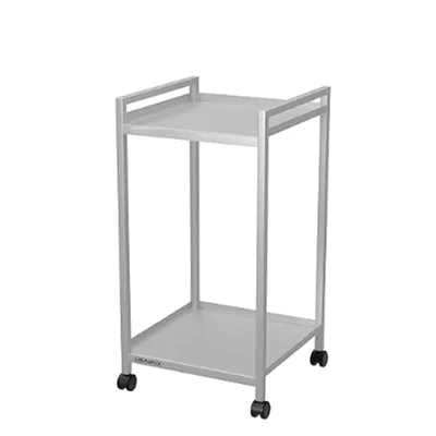 SS 40x40x76 Cm Dual Shelf Kitchen Trolley With Utility Cart and Wheels Used in Kitchens for Storage, Serving, Transport