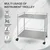 Vinayak Machines 2 Shelf 55 L x 40W x 76H cm Stainless Steel Trolley with Wheels