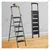 Blueboy 6 Steps Mild Steel 150 Kg Load Capacity Unbreackable Step Ladder With Tools Tray