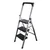 Blueboy 3 Steps Mild Steel 150 Kg Load Capacity Unbreackable Step Ladder With Tools Tray