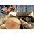 Stihl MS-250, 45.4-cc Powerful Petrol Chainsaw with 20 inch Guide Bar