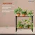 STORACK 10 x 24 x 24 inch Multipurpose Plant Stand For Indoor/Outdoor Garden With Wheel, Adjustable Knob With Shelf Liner