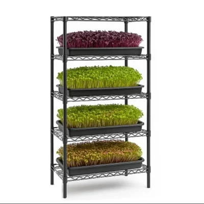 STORACK 30 x 14 x 72 inch Height Adjustable 6 Shelf Foldable Boltless Rack For Indoor/Outdoor Use
