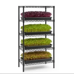 Storack 30 x 14 x 72 inch Height Adjustable 6 Shelf Foldable Boltless Rack For Indoor/Outdoor Use