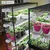 STORACK 30 x 14 x 60 inch 5 Shelves Height Adjustable Foldable Boltless Rack For Indoor/Outdoor Use