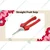 Concorde Fruit Snip or Fruit Snipping Tool of Stainless Steel Material for Garden and Farm Trimming