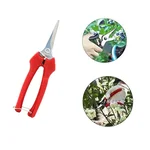 Concorde Fruit Snip or Fruit Snipping Tool of Stainless Steel Material for Garden and Farm Trimming