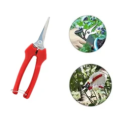 Concorde Fruit Snip or Fruit Snipping Tool of Stainless Steel Material for Garden and Farm Trimming