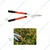 DAP 8220 Straight Telescopic Hedge Shear for Gardening/Grass Cutter/Hedge Cutters/Garden Scissors