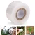 Ecofynd 1 inch Grafting Stretchable Tape of 100 meter for Nursery and Garden (Pack of 2)
