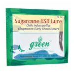 Green Revolution Highly Effective Sugarcane ESB Lure | Chilo infuscatellus