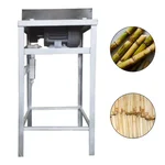 Sugarcane Peeling Machine With 1 HP Motor & 100 Kg/hr Peeling Capacity