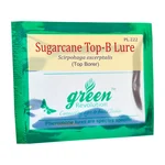 Green Revolution Highly Effective Sugarcane Top-B Lure | Scripophaga Nivella