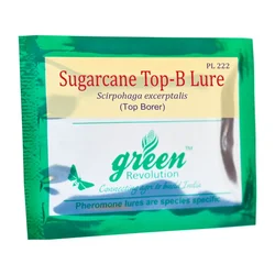 Green Revolution Highly Effective Sugarcane Top-B Lure | Scripophaga Nivella(Quantity-10 packets)