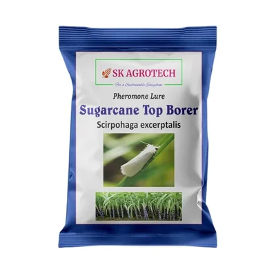 SK Agrotech Sugarcane Top Borer Lure | Scirpophaga Excerptalis(Quantity-5 packets)