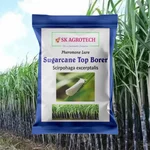 SK Agrotech Sugarcane Top Borer Lure | Scirpophaga Excerptalis