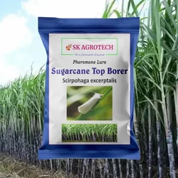 SK Agrotech Sugarcane Top Borer Lure | Scirpophaga Excerptalis(Quantity-5 packets)