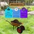 Heavy Duty 130-150Kg Load Capacity, Yellow Double Wheel Barrow(SWB -6)