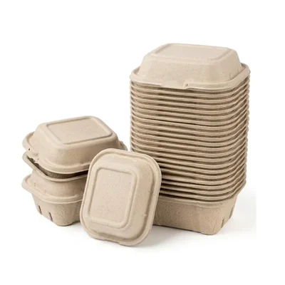 Chuk 750ml Biodegradable Tamper Proof Container with Lid 500pcs, Sugarcane Bagasse Box for Parties, Family Events