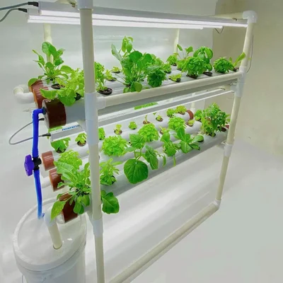 Pindfresh Hydroponics Kit For Indoor & Outdoor Tashi Junior Set-Up With Grow Lights For Growing Leafy Greens (Standard)