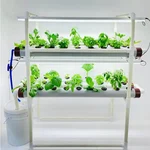 Pindfresh Hydroponics Kit For Indoor & Outdoor Tashi Junior Set-Up With Grow Lights For Growing Leafy Greens