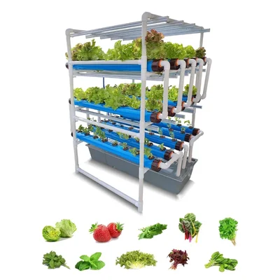 Pindfresh Hydroponics Kit For Indoor & Outdoor Tashi Pro Set-Up With Grow Lights For Growing Leafy Greens