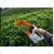 Battery Operated 21V Heavy Duty Tea Harvester Machine with Dual Lithium-Ion Batteries & Charger | Cordless Electric Tea Leaf Plucker & Harvester