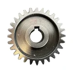 29 Teeth Bearings for SS Body Sugarcane Juice Machine 250 Glass/Hour with 1.5 HP Motor