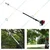 Neptune 26 cc Telescopic Pole Pruner Saw with 12 inches Cutting Bar