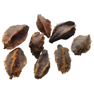 Terminalia Arjuna Tree Seed - Marudha Maram Seeds, (250g)