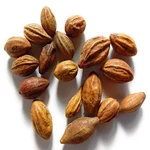 Terminalia Chebula Tree Seeds - Kadukkai Maram Seeds - (1Kg)