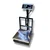 Tesla 200 Kg Capacity 400 x 400mm Stainless Steel  Platform Weighing Machine, With 6 Months Battery Warranty(CKЕР 521) 