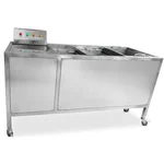 2HP Leafy Vegetable Washer with Ozone Disinfection
