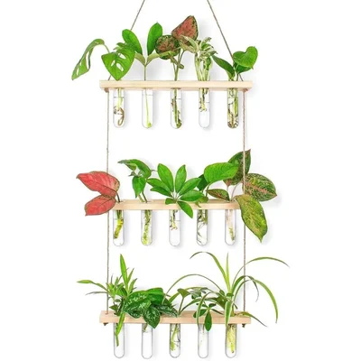 Ecofynd TTP006 Wooden 3-Tier Wall Hanging Test Tube Planter for Hydroponic Indoor Decor