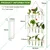 Ecofynd TTP006 Wooden 3-Tier Wall Hanging Test Tube Planter for Hydroponic Indoor Decor