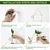 Ecofynd TTP006 Wooden 3-Tier Wall Hanging Test Tube Planter for Hydroponic Indoor Decor