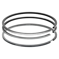 Piston Ring Set (0.25) For 4 Stroke 5-7 HP (173F) Diesel Power Weeder / Tiller, E12857112
