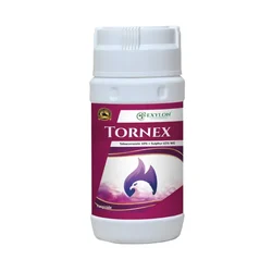 Exylon Tornex (Tebuconazole 10% + Sulphur 65% WG) Dual-Action Fungicide | For Various Fungal Disease Control In Plants(Quantity-500 gm)