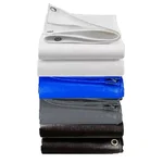 ZN Global 1000 GSM 20 feet x 40 feet Nylon Fabric, PVC Coated, UV Protected, Waterproof Tarpaulin Shee