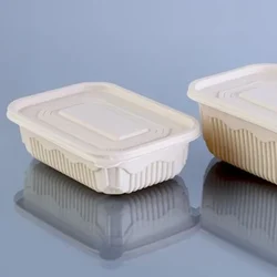 Premium 500ml, Cornstarch Meal Container with Lid(Pack-50 pcs)