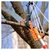 Orezen Multipurpose Tree Pruning Saw, Pole Pruner Only Head Attachment