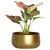 Ecofynd POT016 Sophisticated Golden Metal Planter for Modern Indoor Decor