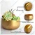 Ecofynd POT016 Sophisticated Golden Metal Planter for Modern Indoor Decor