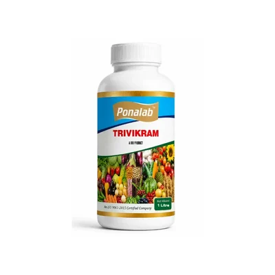 Trivikrama 1L Bio-Fungicide Trichoderma spp. (1×10⁸ CFU/ml) Liquid Formulation for Soil-Borne Fungal Disease Control