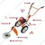 Heavy Duty Petrol Grass Cutter with 4 Stroke 35CC Engine with Round Tiller Attachment