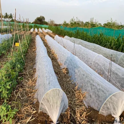 Tuff-Net 3 x 20 meter Agro Shade Net, 75% Shade Rate