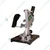 Turtle Gold 5 Inch Angle Grinder Stand, 300 mm Max. Cutting Depth (ST-1701)