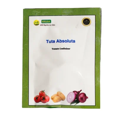 WAVAR Tuta Absoluta Lure (Tomato Leaf Miner) | 2 Lures Per Packet(Quantity-5 packets)